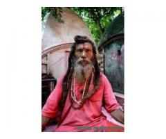 LOVE GURU ASTROLOGER IN INDIA +91-9509081589
