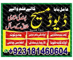 horoscope spell caster in canada,uk,uae,karachi,spain,lahore.amil baba online