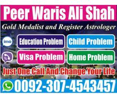 Love Marriage Problems Solution Usa Online