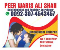 Love Marriage Problems Solution Specialist Baba Ji London Online