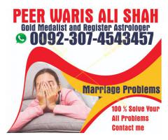 Love Marriage Problems Solution Specialist Baba Ji London Online