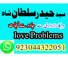 amil baba in canada love marriage in canada