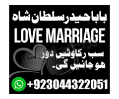 love marriage specialist,famous love marriage expert