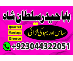 love marriage specialist,famous love marriage expert