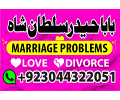 love marriage specialist,famous love marriage expert