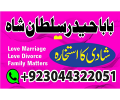 love marriage specialist,famous love marriage expert