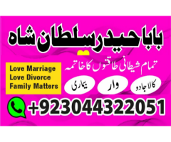 love marriage specialist,famous love marriage expert