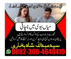 love marriage problem solution usa