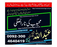 love marriage problem solution usa best black magician in pakistan