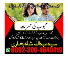 love marriage problem solution usa