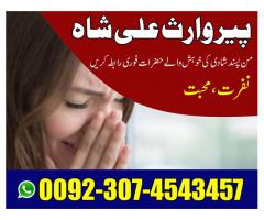 love marriage problem solution usa