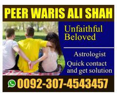 love marriage specialist in usa love marriage specialist in uk