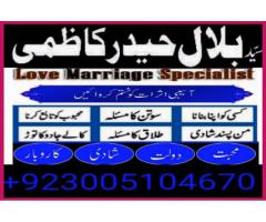 love marriage problem solution usa