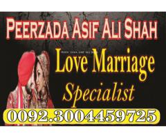 Love Marriage Problems Astrologer in usa