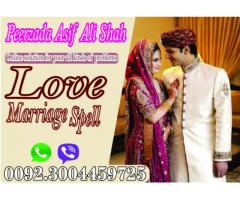 Love Marriage Problems Solution Specialist baba Ji UK London