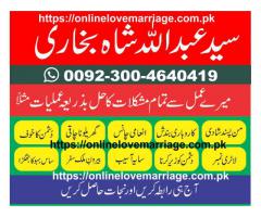 love marriage problem solution usa