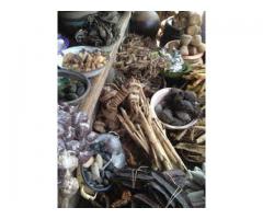 TRADITIONAL SPIRITUAL HEALER TO SOLVE YOUR PROBLEMS +27605775963 IN AUSTRALIA, SOUTH AFRICA