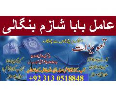 amil baba love marriage specialist in lahore karachi 03130518848 uk us