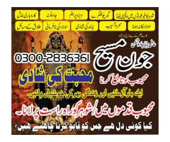 Pakistan no 1 baba MASHI love back astrologer 03002836361