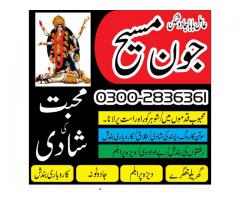 world no 1 amil baba 03002836361