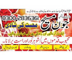 famou amil baba in lahore 03002836361