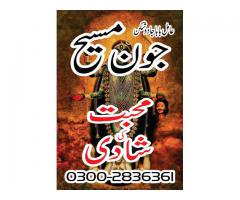 amil baba safli ilm astrologer black magic master 03002836361