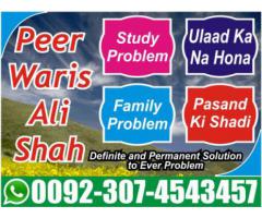 love marriage problem solution in canada