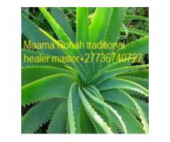 WELCOME TO HERBALIST POWERFUL TRADITIONAL HEALER MAAMA RONAH +27736740722