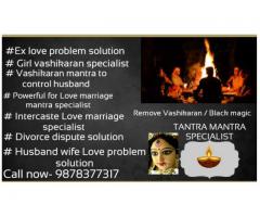 +91-9878377317 Divorce Dispute / Husband wife Relation problem solution