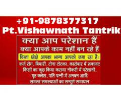 9878377317 Love Back Solution Specialist - Mumbai /Nagpur